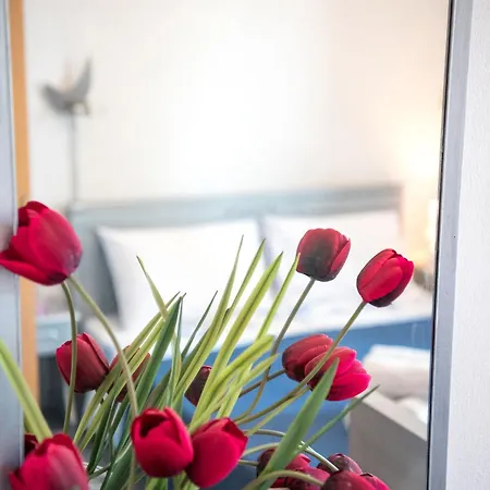 Pelion House Villa